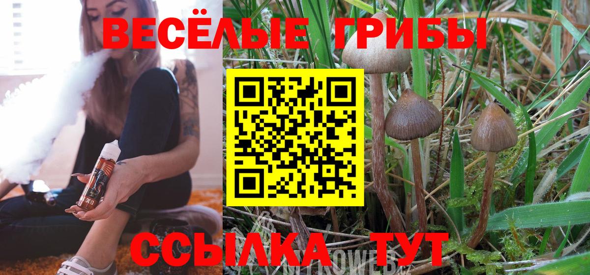 даркнет сайт  Псилоцибиновые грибы мицелий  Вход с VPN  Урюпинск 